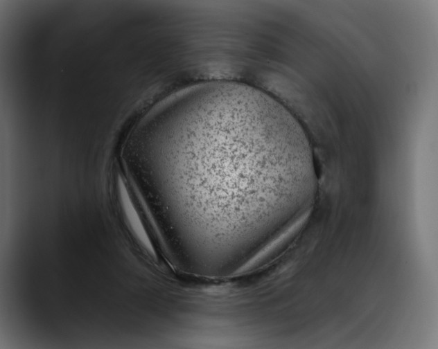 X0000089700306200707121359