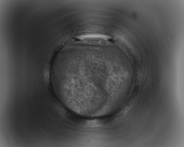 X0000089700309200707121359