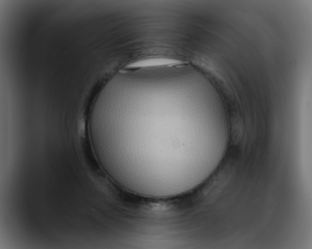 X0000089700310200707121359