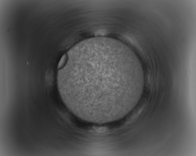 X0000089700311200707121359