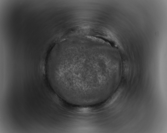 X0000089700313200707121359