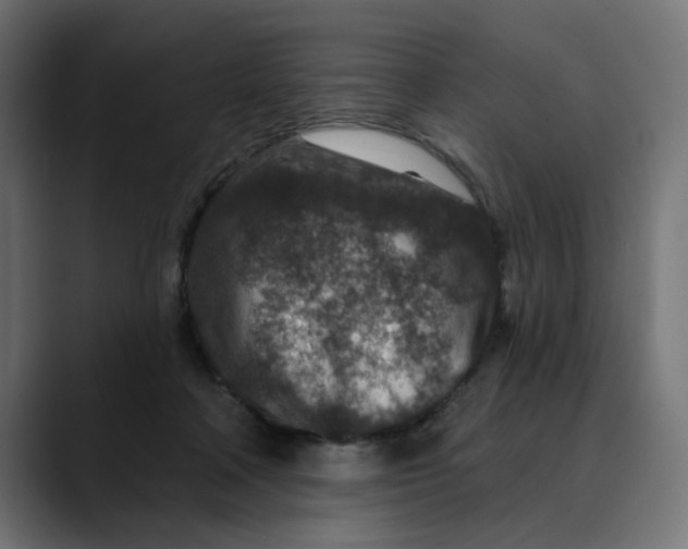 X0000089700314200707121359