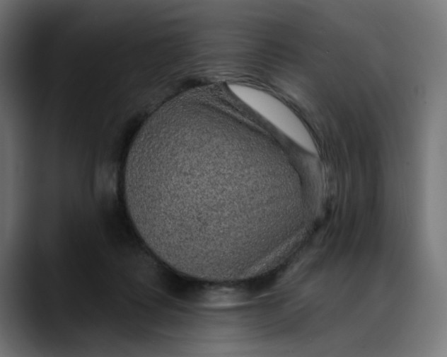 X0000089700315200707121359