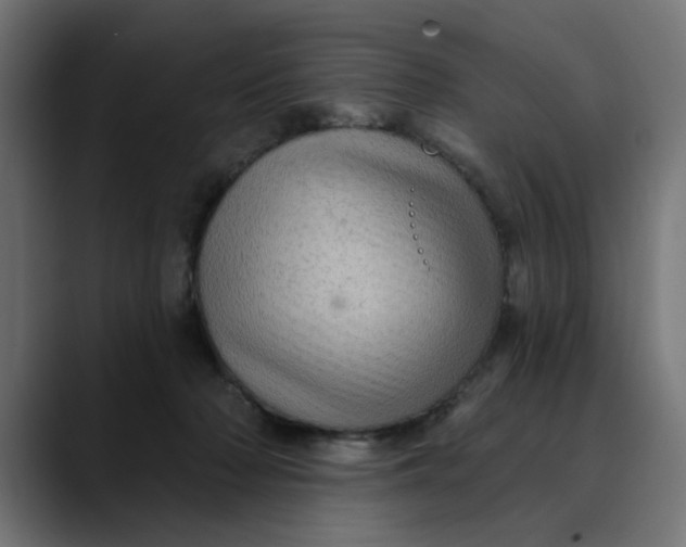 X0000089700318200707121359