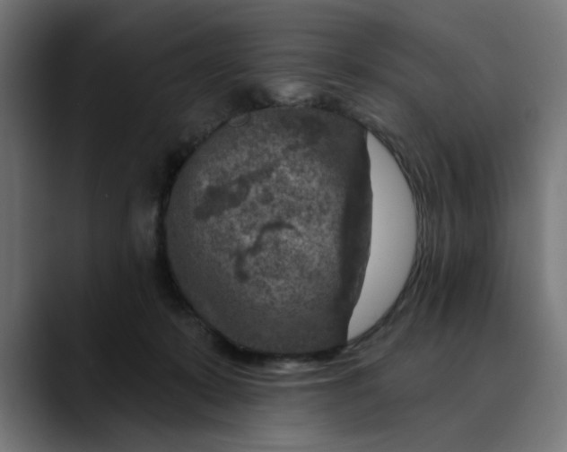 X0000089700319200707121359