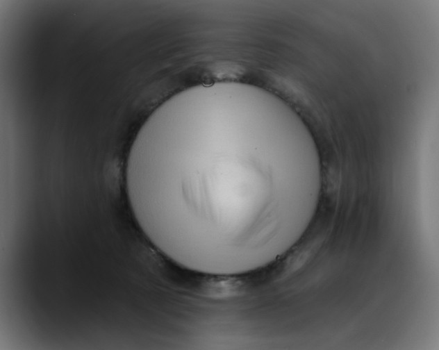 X0000089700321200707121359