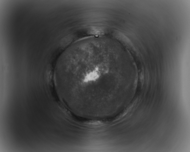 X0000089700322200707121359