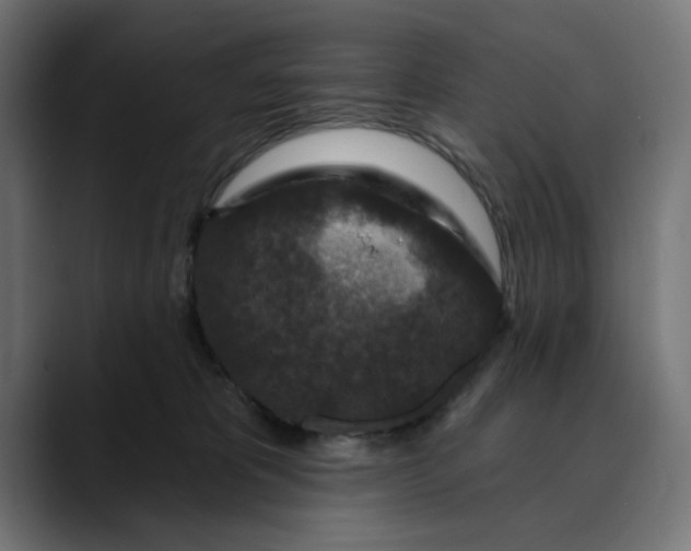 X0000089700325200707121359