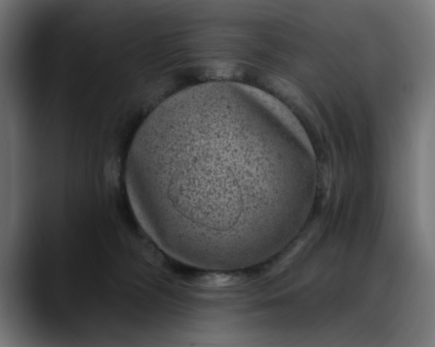 X0000089700326200707121359