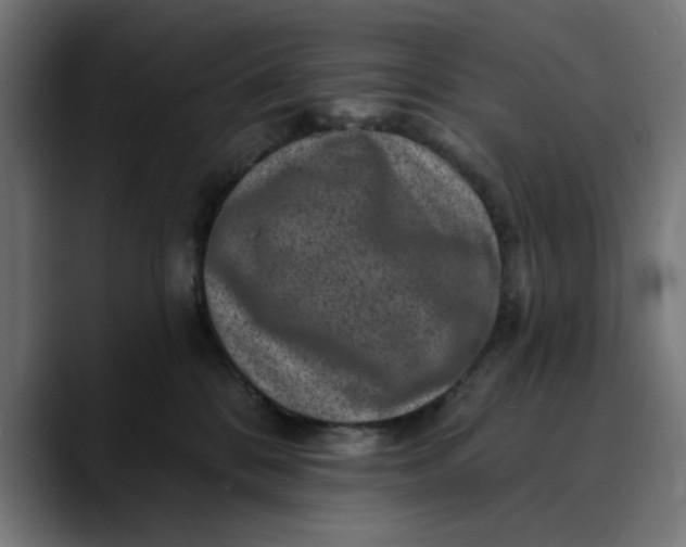 X0000089700328200707121359