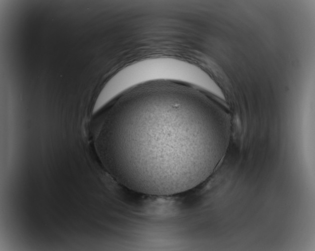 X0000089700329200707121359