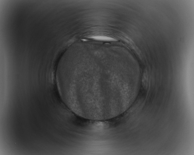 X0000089700330200707121359