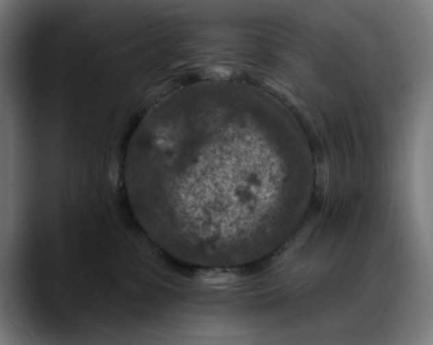 X0000089700331200707121359