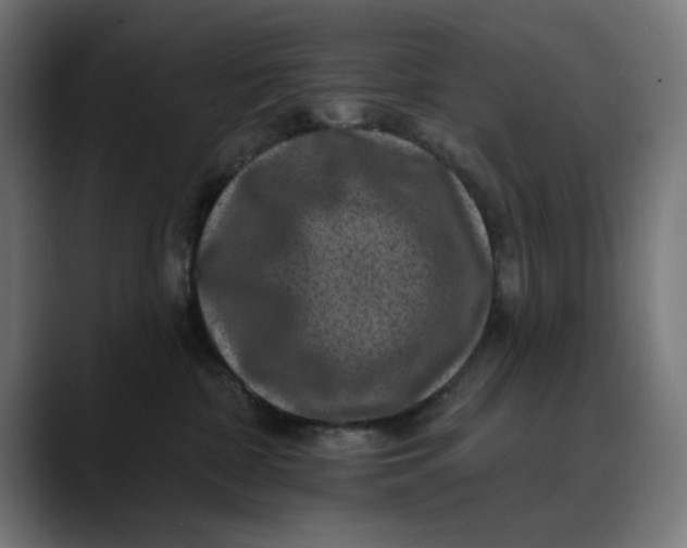 X0000089700332200707121358