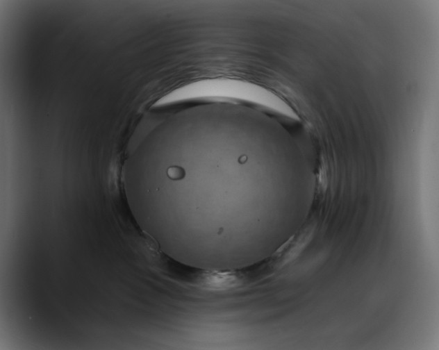 X0000089700333200707121358