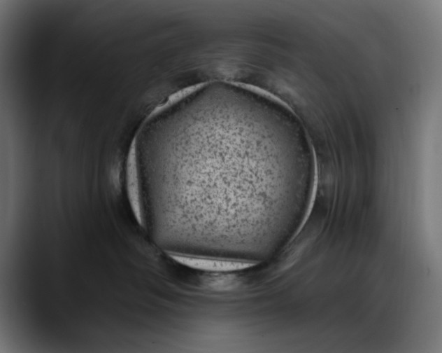 X0000089700334200707121358