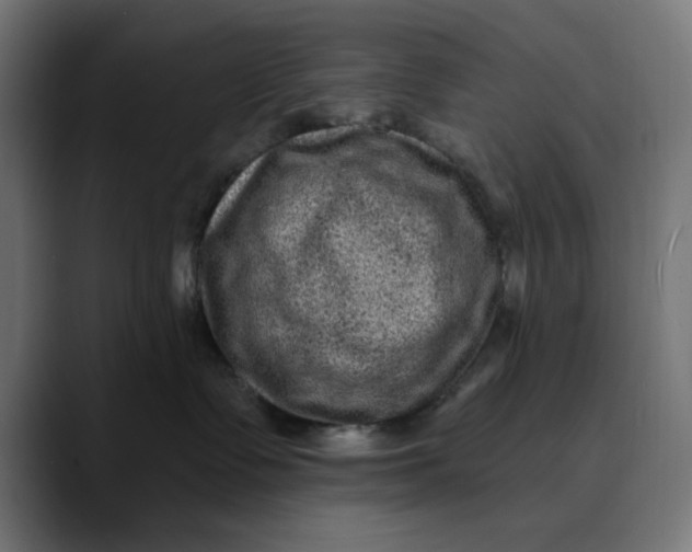 X0000089700335200707121358