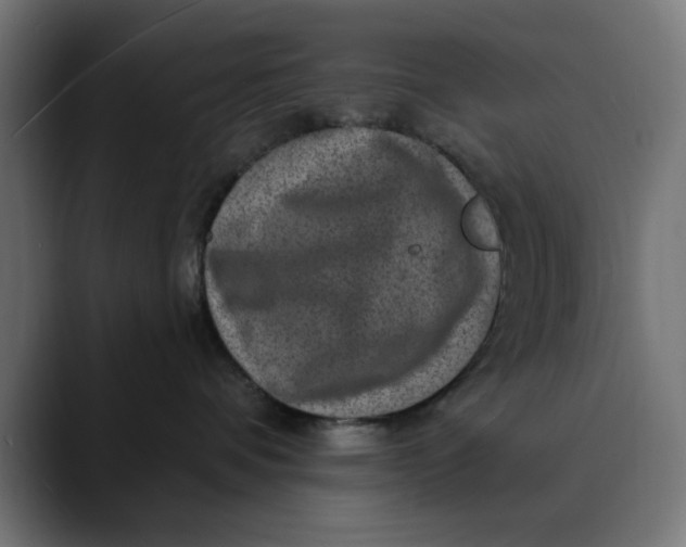 X0000089700336200707121358