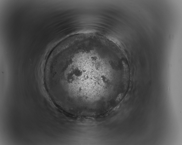 X0000089700337200707121358