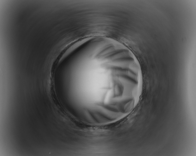 X0000089700338200707121358