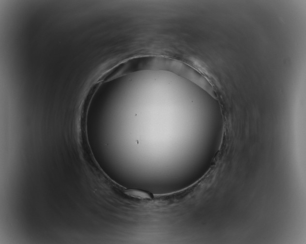 X0000089700340200707121358