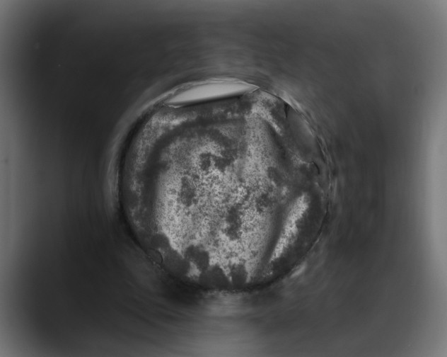 X0000089700343200707121358