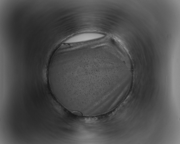 X0000089700345200707121358