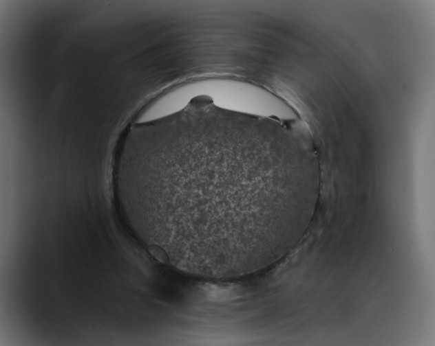 X0000089700346200707121358