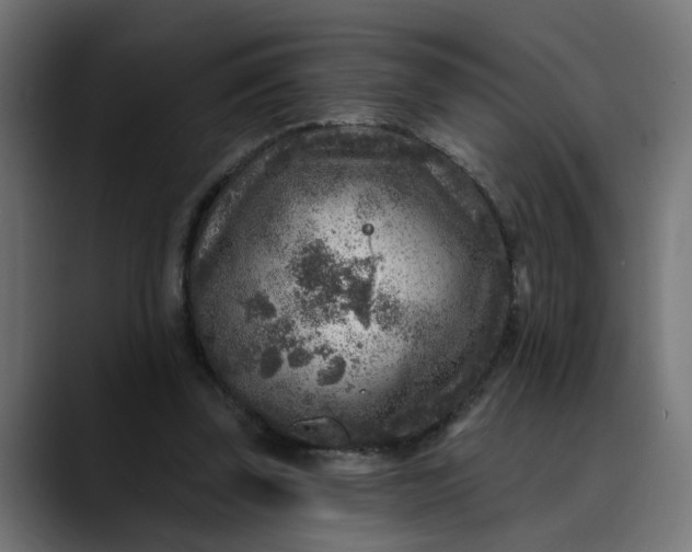 X0000089700347200707121358