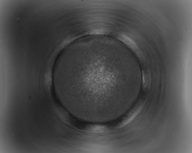 X0000089700348200707121358