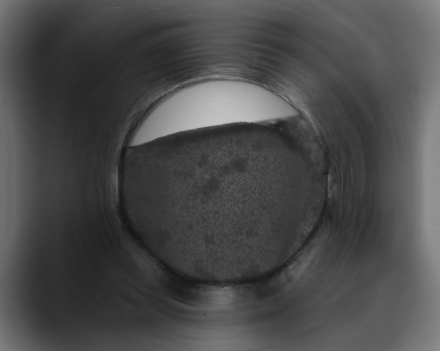 X0000089700349200707121358