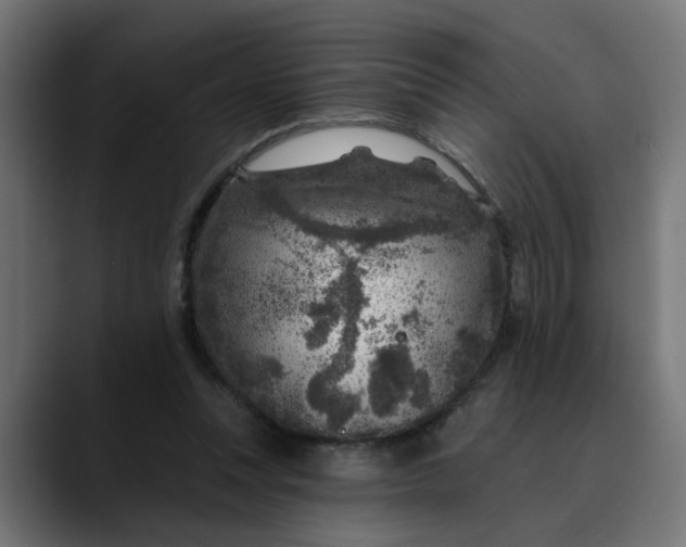 X0000089700351200707121358