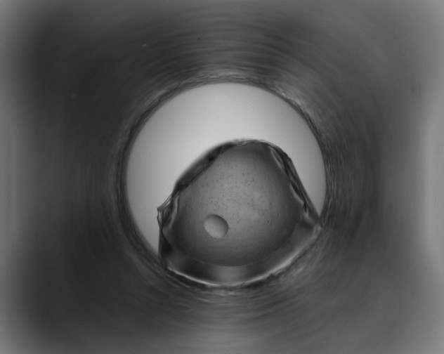 X0000089700352200707121358