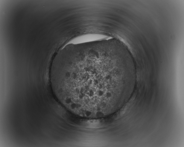 X0000089700353200707121358