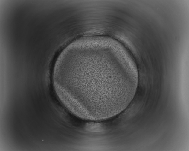 X0000089700354200707121358