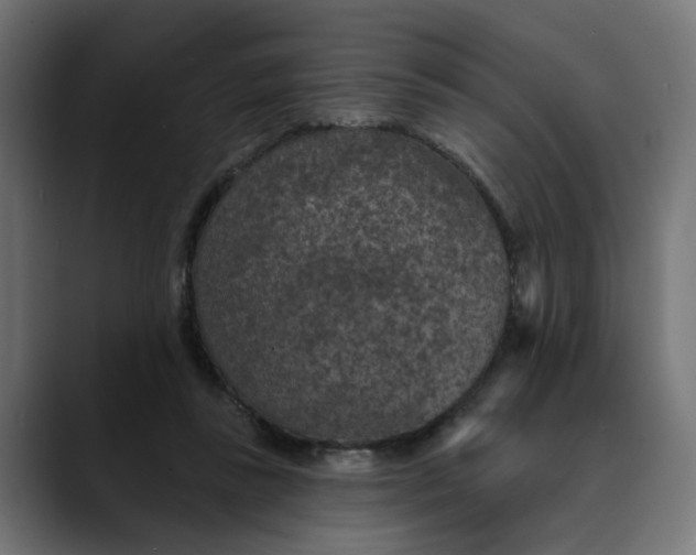 X0000089700355200707121358