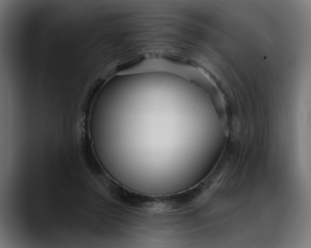 X0000089700356200707121358