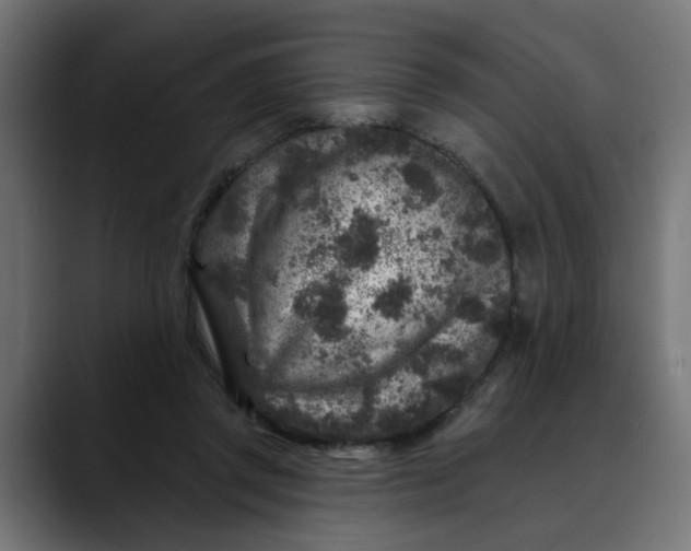 X0000089700357200707121358