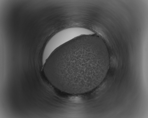 X0000089700358200707121358