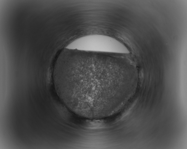 X0000089700359200707121358