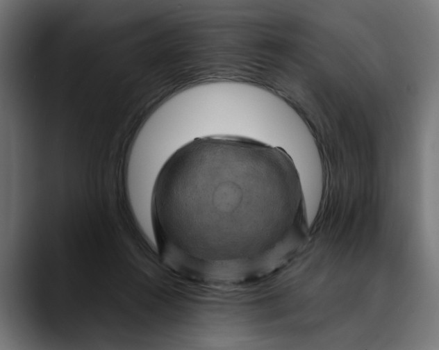 X0000089700360200707121358