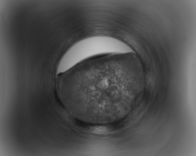 X0000089700361200707121358