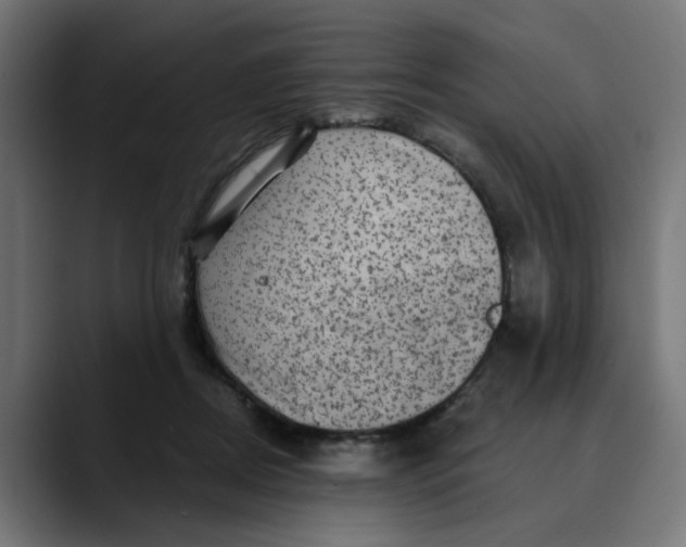 X0000089700362200707121358