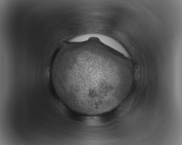 X0000089700363200707121358