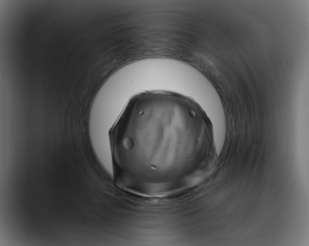 X0000089700364200707121358