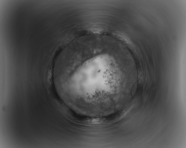 X0000089700365200707121358