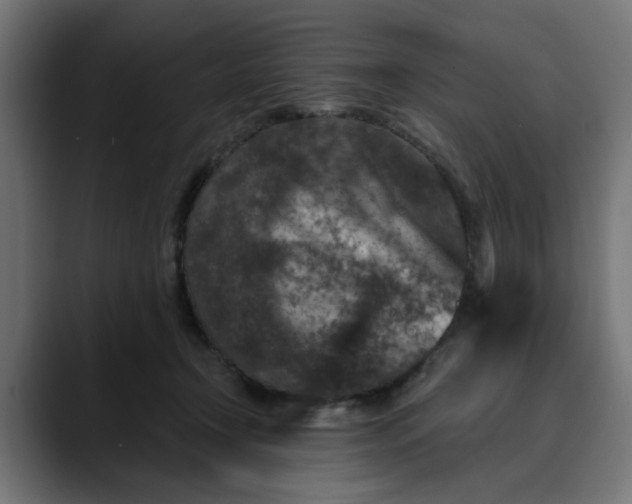 X0000089700366200707121358