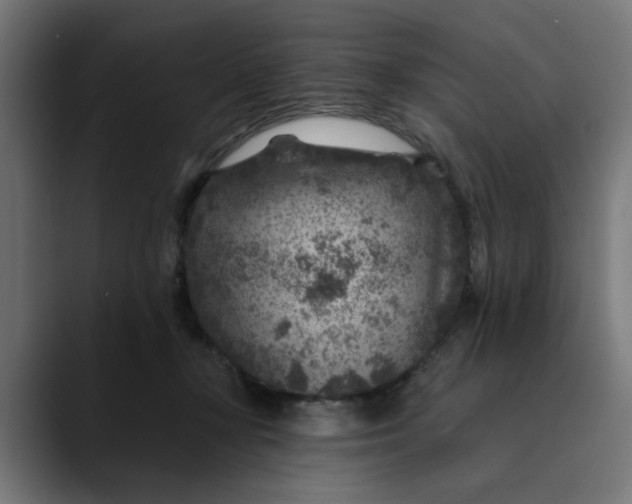 X0000089700367200707121358