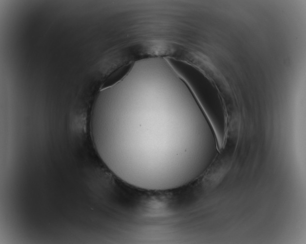 X0000089700368200707121358