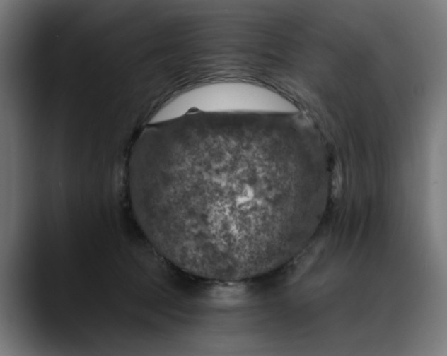 X0000089700369200707121358